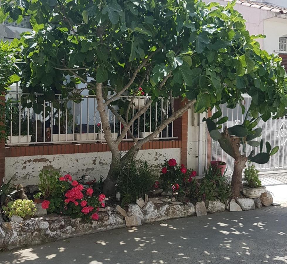 Maison De Vacances A Empuriabrava "Oasis" Villa Екстериор снимка